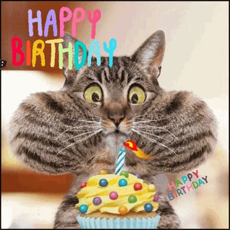 geburtstag gif lustig|Funny Birthday gifs